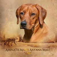 aayana-mali-ami-frontpage2