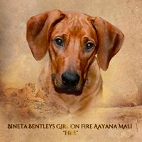 aayana-mali-fire-frontpage2_5